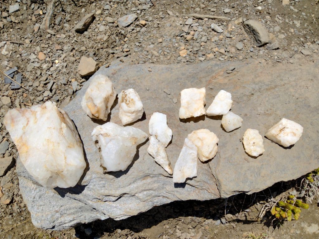 画像に alt 属性が指定されていません。ファイル名: IMG20240616120435-1024x768.jpg